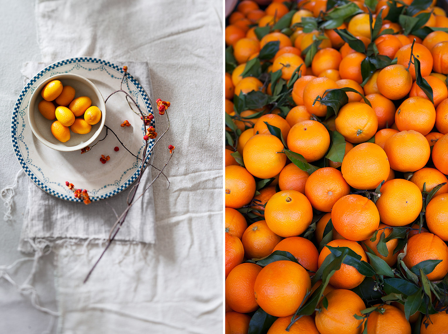 Food Photography Toronto Oranges