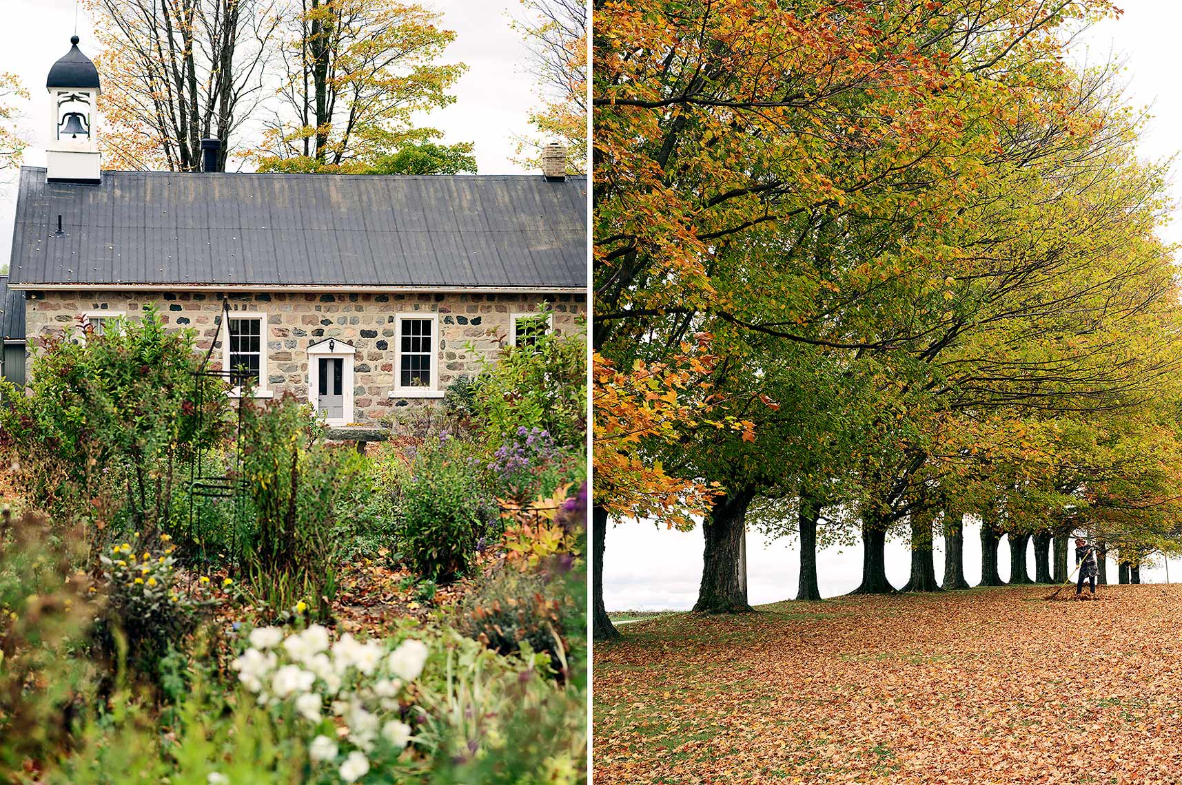 Lifestyle Photography Toronto Trees House